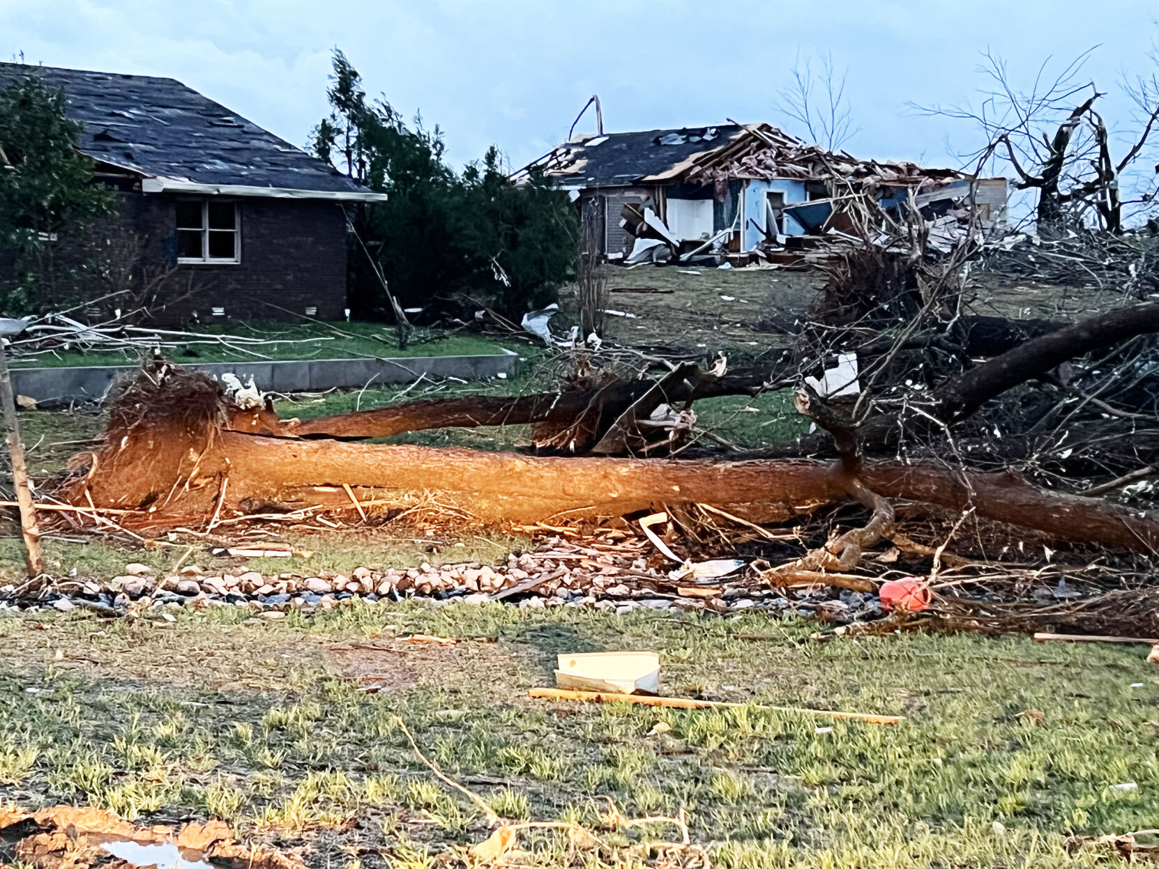 Large tree down